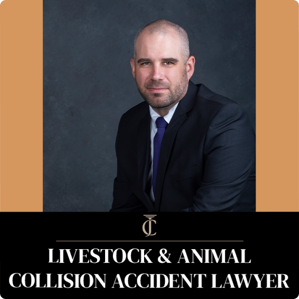 Livestock and animal collision accident lawyer