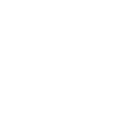 12. Lien Resolution: 