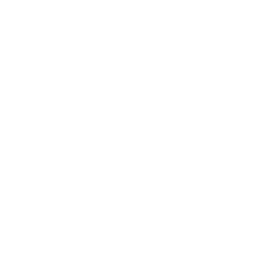 11. Establish Estate Representative (Within 60 Days)