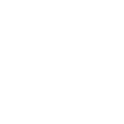 14. Wrongful Death Claims: