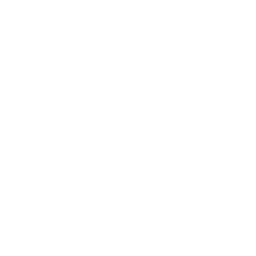 2. Request CT Scans and MRI Imaging (Within First 24 Hours)