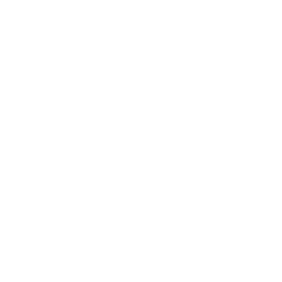 12. Statute Of Limitations Monitoring And Deadline Compliance